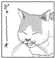 186