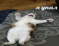 47