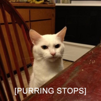 715