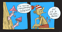 81