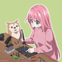 1255