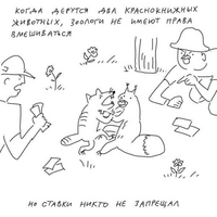 46