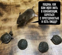 181