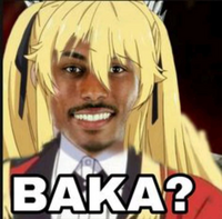 53
