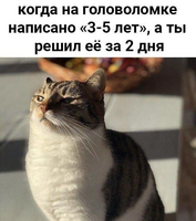 440