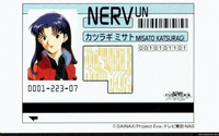 423