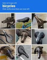 117