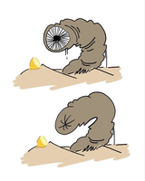75